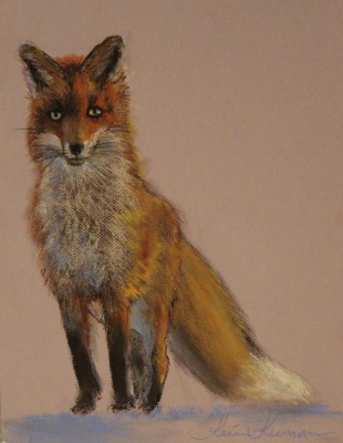 pastel painting pastellmaal loomad animals rebane fox Keiu Kuresaar